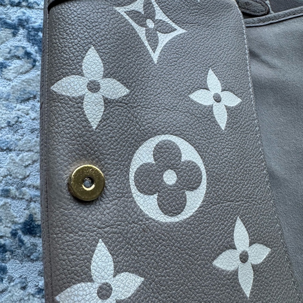 Louis Vuitton Diane Crossbody Bag - Picture 8 of 10
